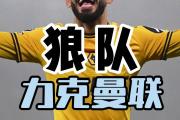 开云体育官网-纽卡斯尔联主场力克狼队，保级形势一片美好的简单介绍