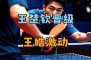 开云下载-波兰乒乓球队险胜法国乒乓球队，王皓制霸全场的简单介绍
