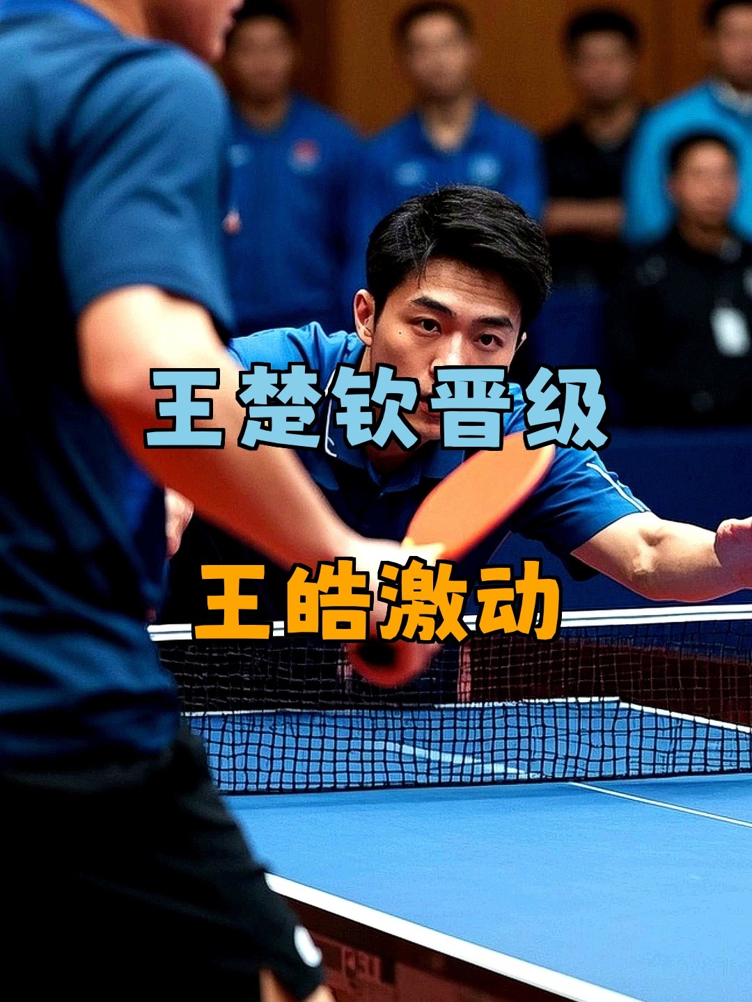 波兰乒乓球队险胜法国乒乓球队,王皓制霸全场的简单介绍 波兰乒乓球队险胜法国乒乓球队,王皓制霸全场的简单介绍