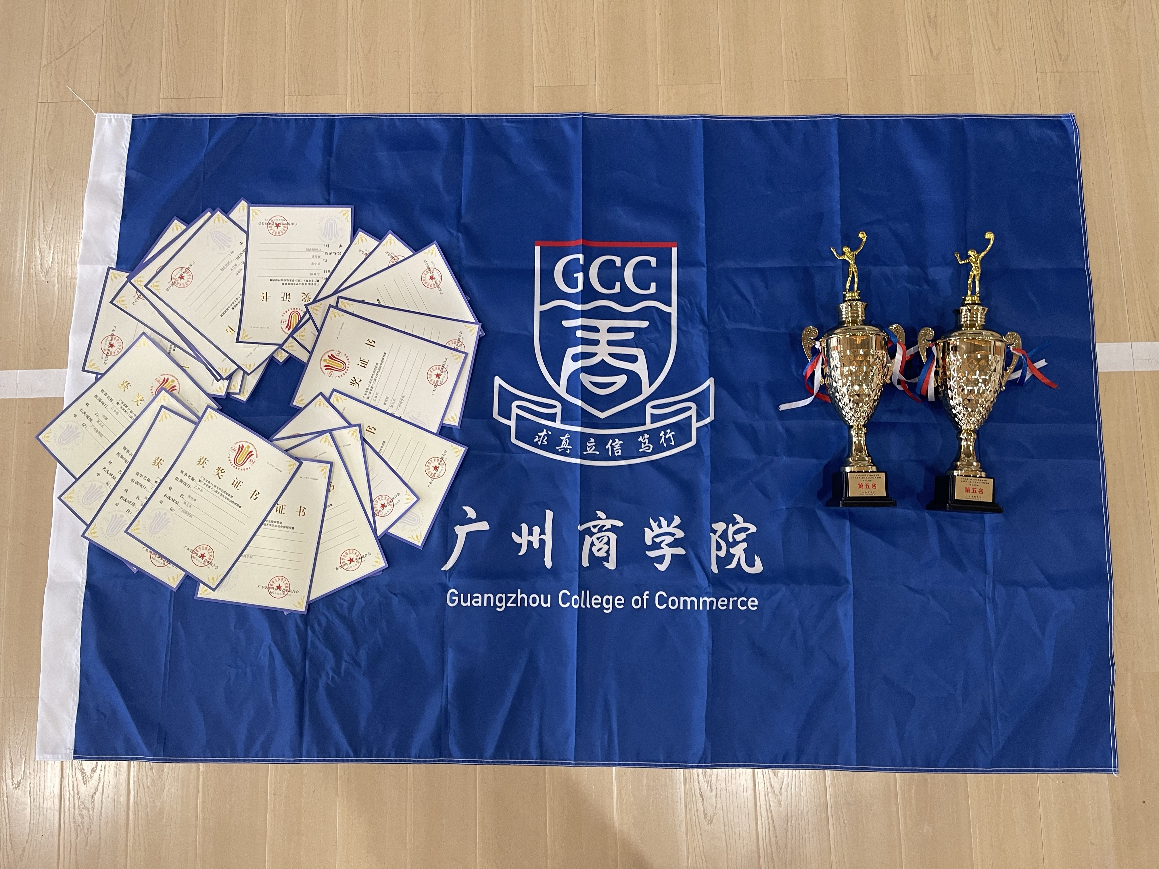 排球再创历史,冠军实至名归的简单介绍 排球再创历史,冠军实至名归的简单介绍