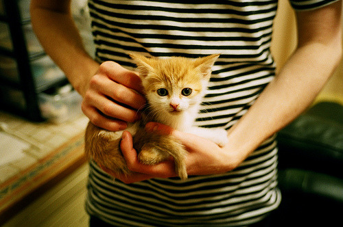 关键先生！布伦森导演逆转，马刺团队篮球压制字母哥