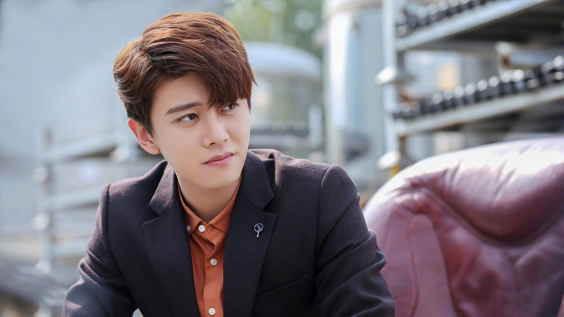 黄喜灿，威斯特法伦的聚光灯下，韩国猛虎撕碎丹麦童话