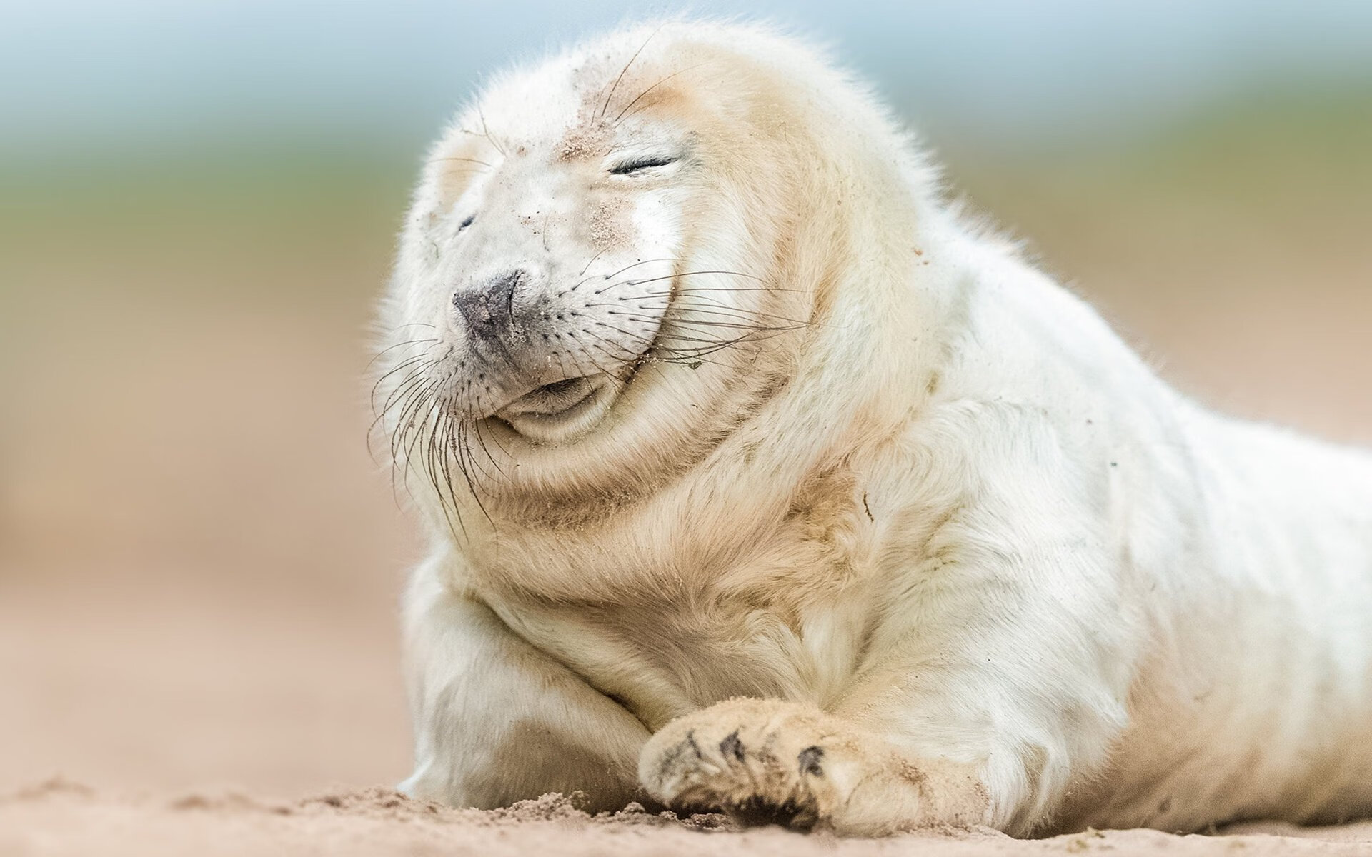 玻利维亚血拼乌拉圭，基米希在2026世界杯接管比赛，一场技术与意志的全球交响