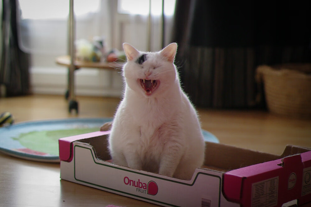 向巨人挥拳，加维一剑封喉，巴黎的压制与一场青春的突围