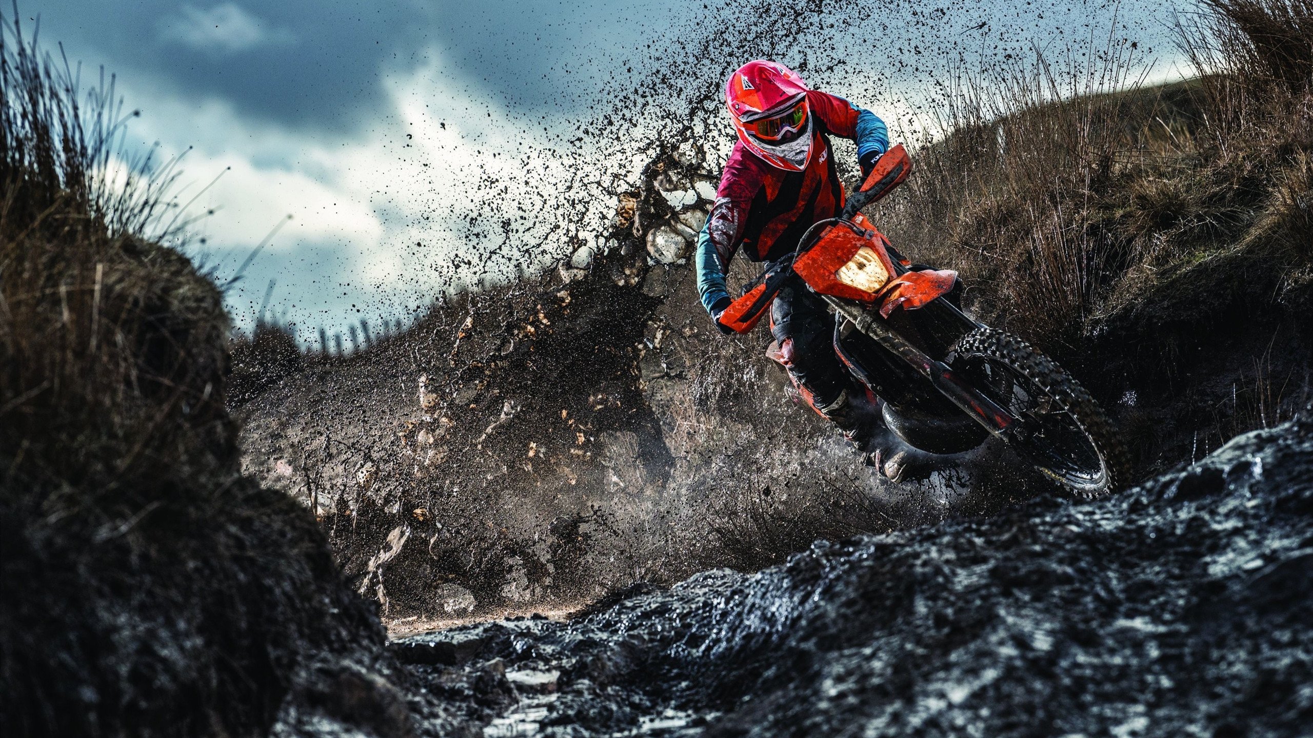 压制是序曲,接管是终章,论竞技场上的秩序更迭