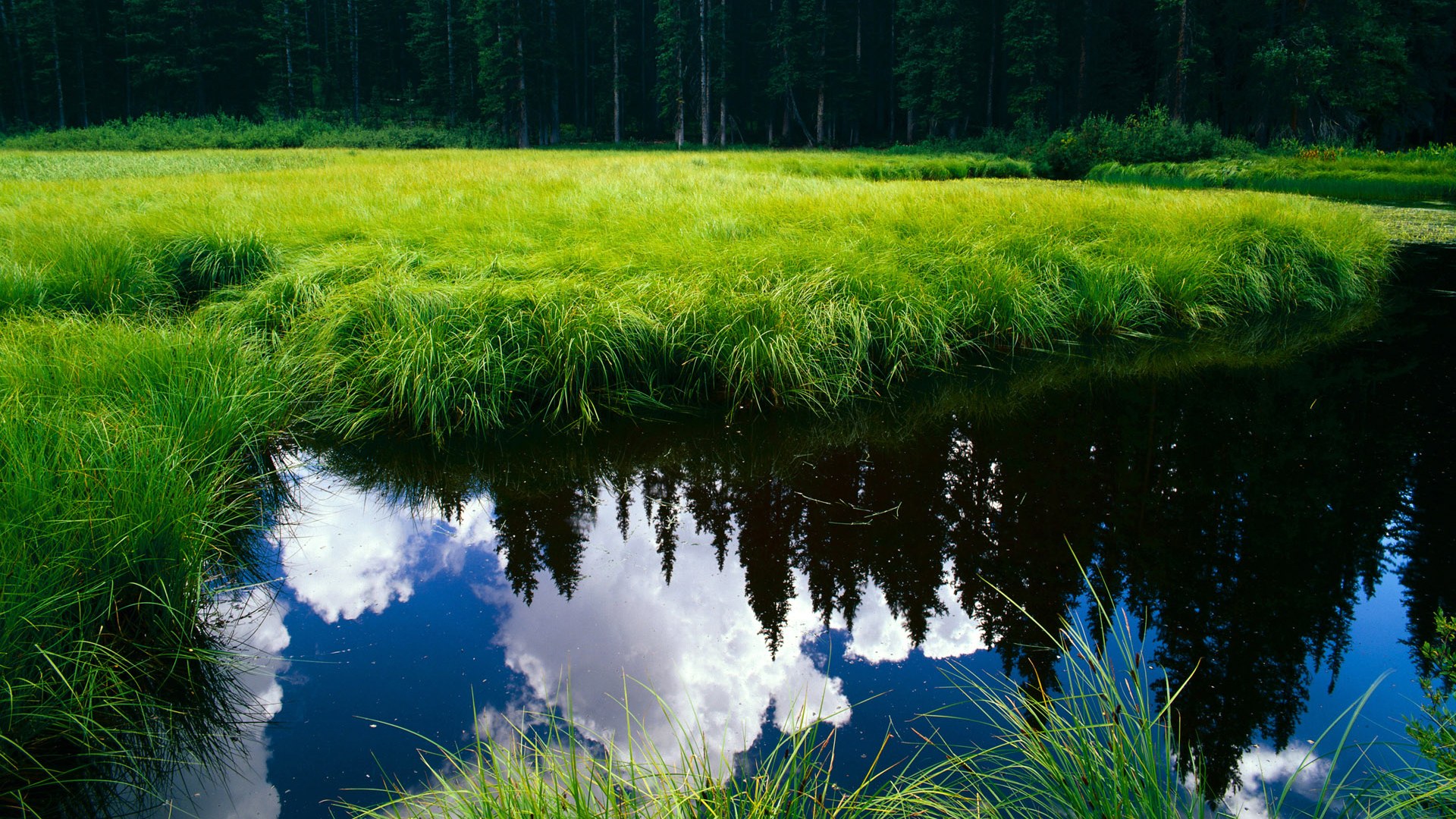 双核驱动爵士稳稳拿下开拓者 德文·布克加冕关键先生