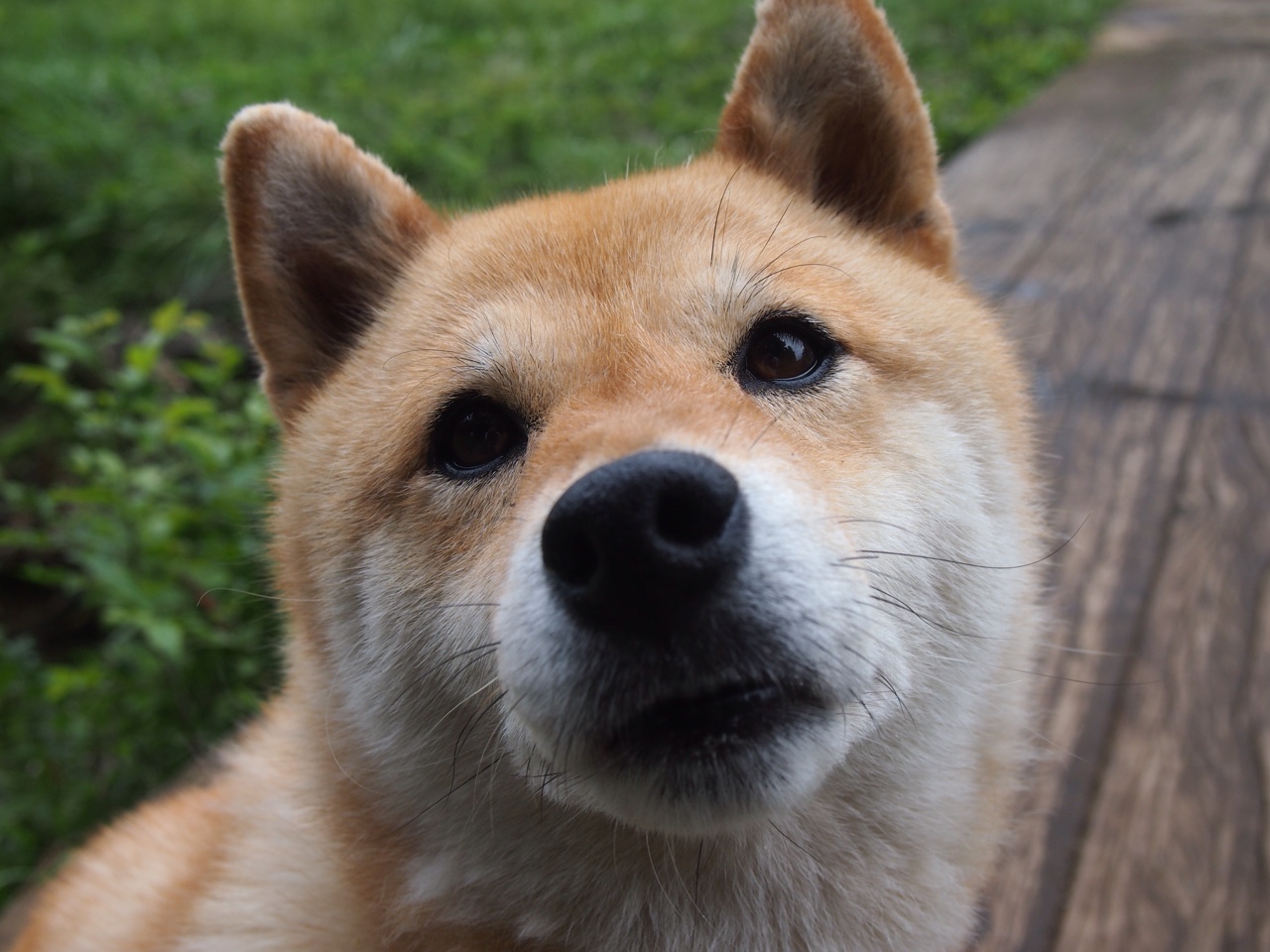 双重舞台,当皇家社会对阵摩纳哥,见证C罗如何完成史诗般的自我救赎