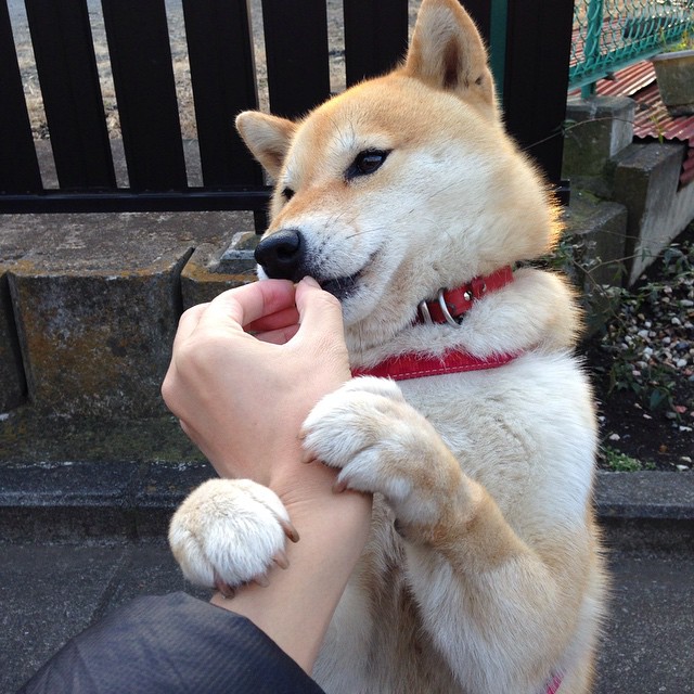 德罗赞关键表现难救主，步行者绝杀公牛惊险取胜