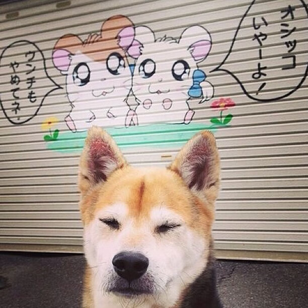 足球双焦点,意甲激战正酣,委内瑞拉绝杀巴拉圭