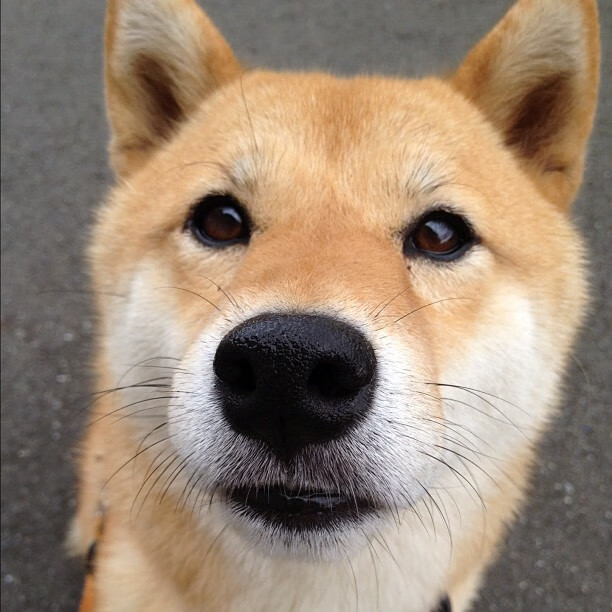 东亚利刃刺穿黄色潜水艇，日本核心闪电战击溃比利亚雷亚尔，拉亚防线惨遭彻底打爆